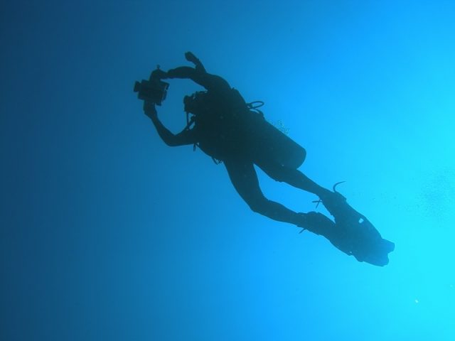 Diving in East Timor