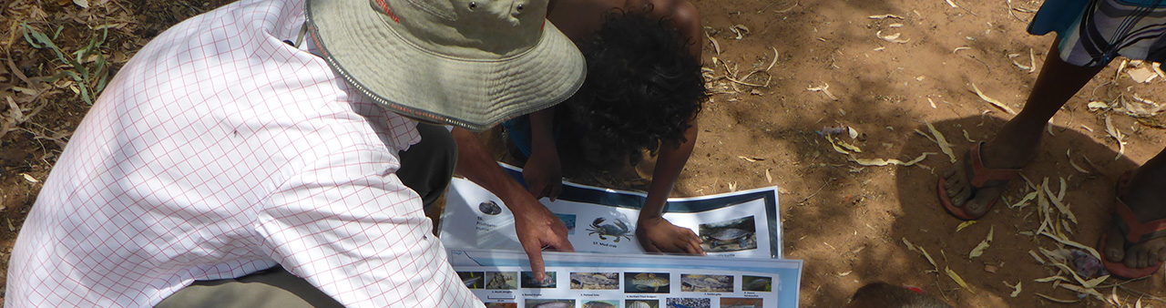 Borroloola consultation