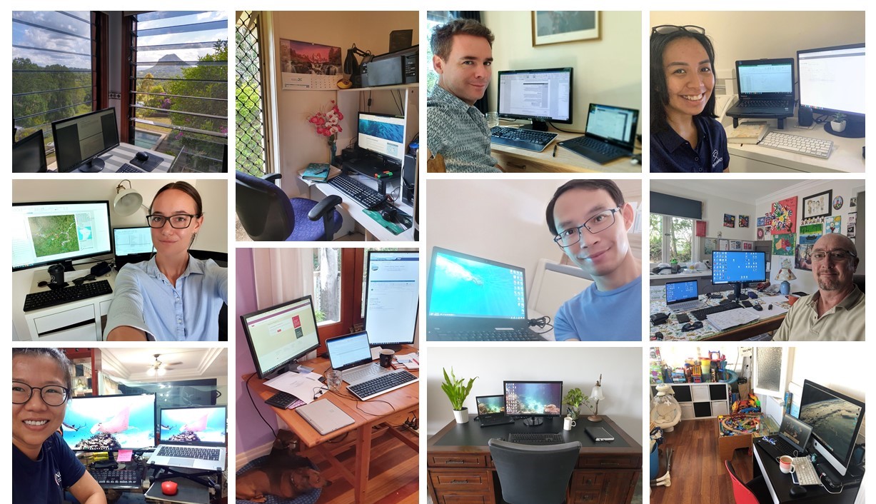 COVID PR Blog 2 Montagev2