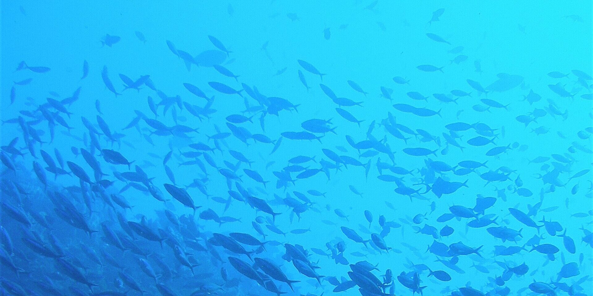 At Hydrobiology, sustainability is core to our strategy and integrated into everything we do.