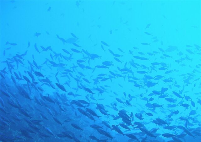 At Hydrobiology, sustainability is core to our strategy and integrated into everything we do.