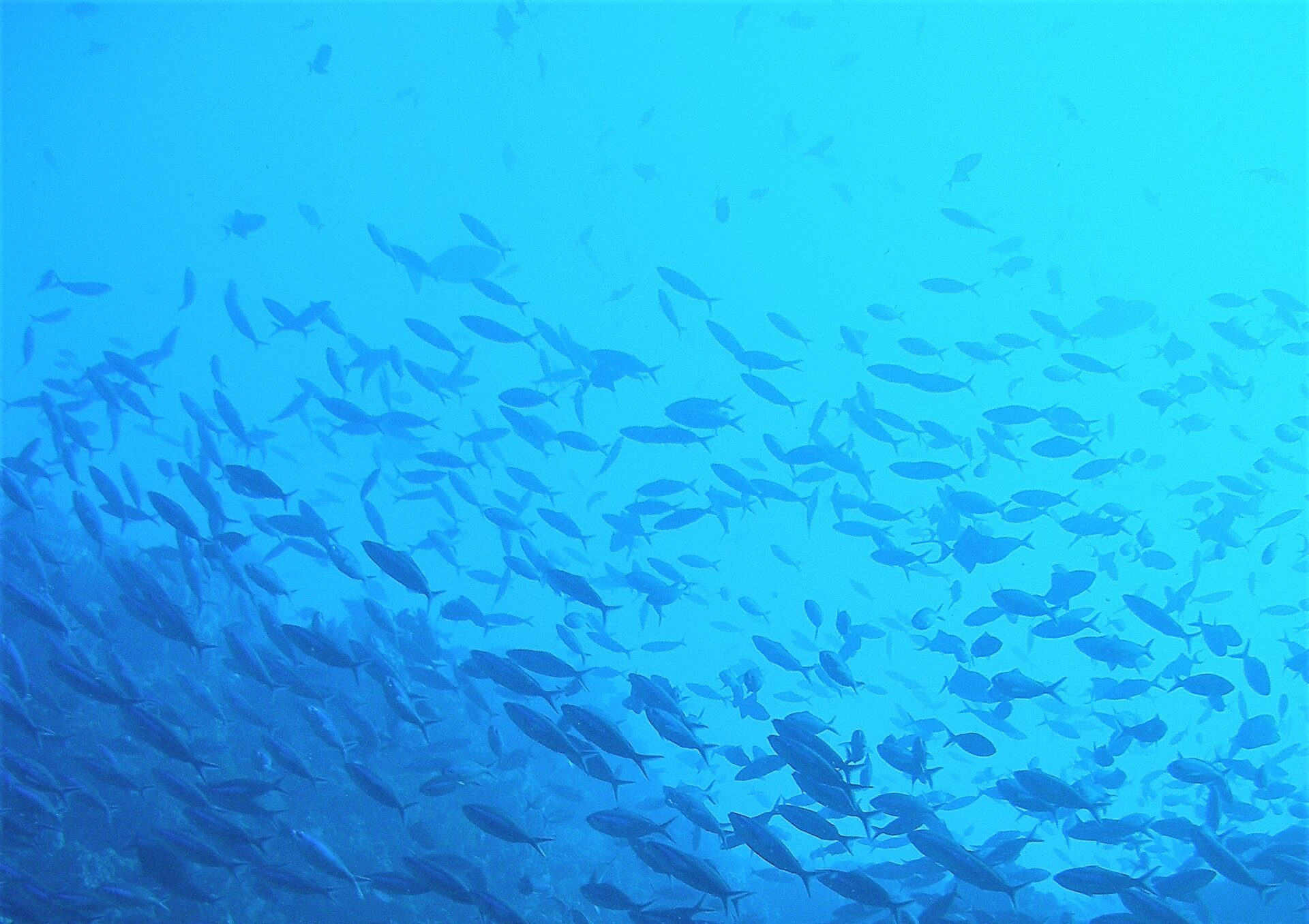 At Hydrobiology, sustainability is core to our strategy and integrated into everything we do.