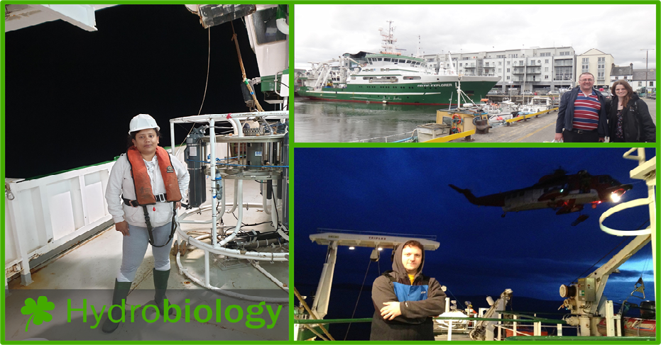 st patricks day blog 2022_Final