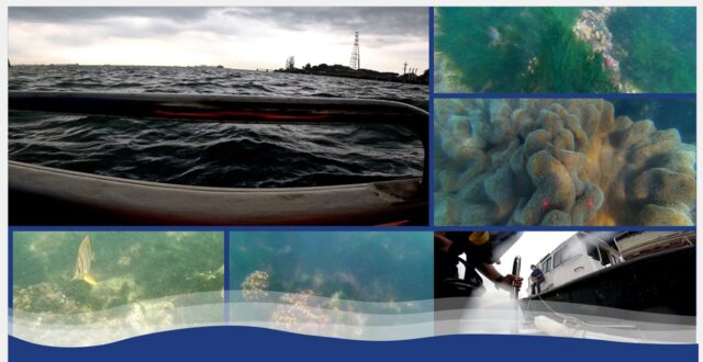 SG Job Ad Collage_final