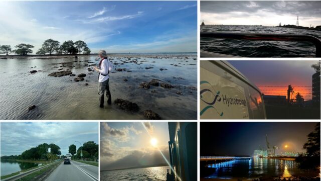 SG_Blog_Collage_13.05.22